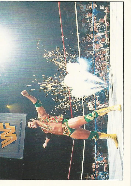 WWF Panini 1995 Sticker Collection Razor Ramon #43