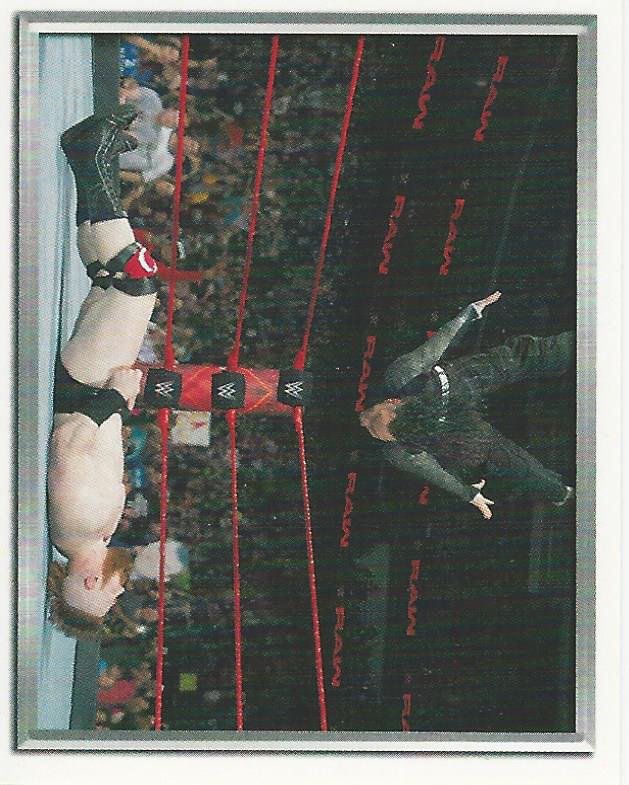 WWE Topps 2018 Stickers Jeff Hardy #43