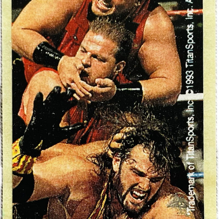 WWF Dunkin Bubble Gum Stickers (1993) No. 43 Quebecers PW Catalog