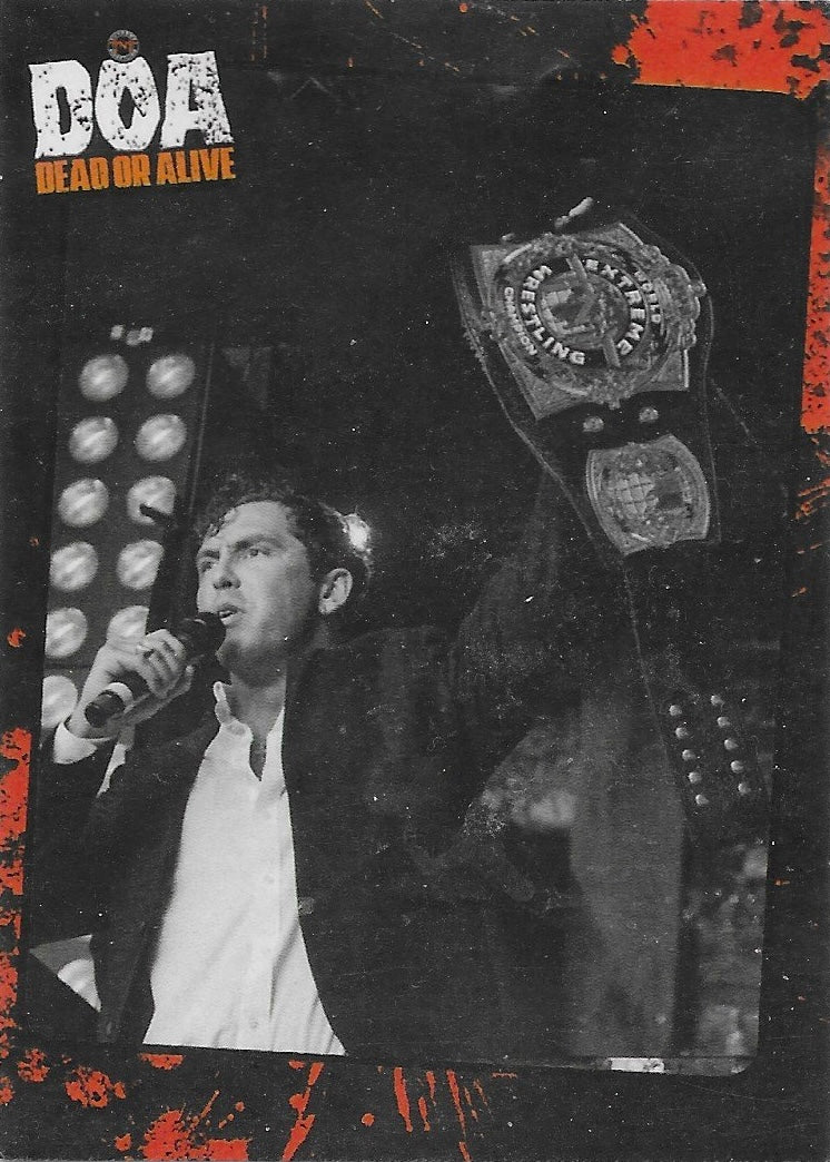 DOA Dead or Alive Ring Action trading card PW Catalog