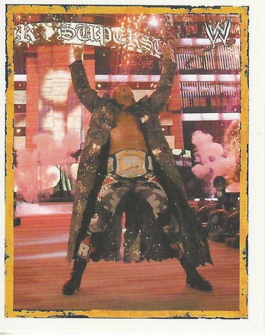 WWE Merlin Heros 2008 Stickers Edge P10 trading card PW Catalog