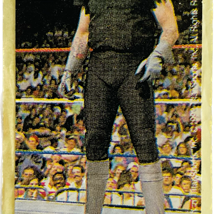 WWF Dunkin Bubble Gum Stickers (1993) No. 44 Undertaker PW Catalog