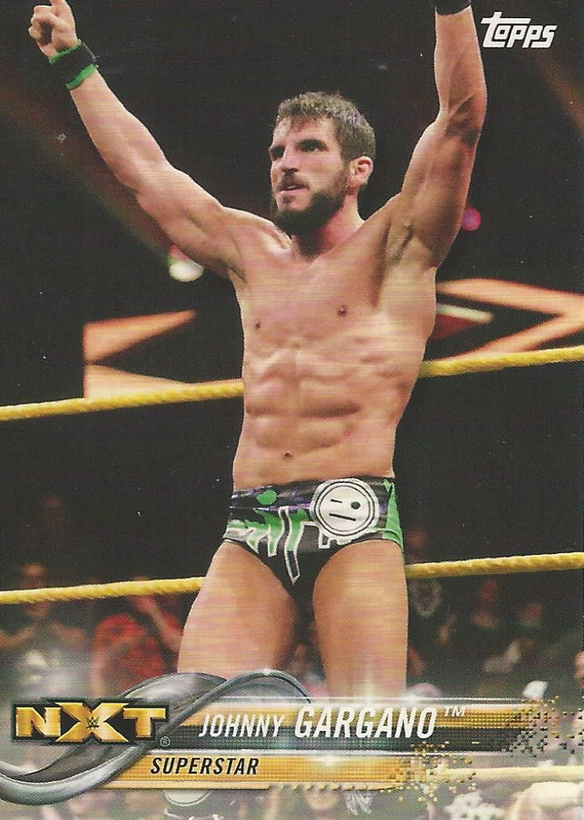 WWE Topps 2018 Johnny Gargano #44