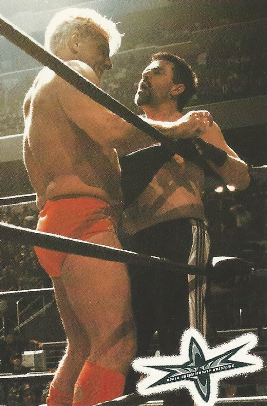 WCW Crazy Planet Stickers 1999 Ric Flair trading card PW Catalog