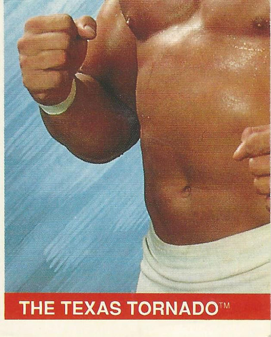 WWF Merlin Sticker Collection 1990 Texas Tornado #44