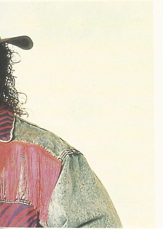 WCW Euroflash 1992 Sticker Scotty Flamingo #44