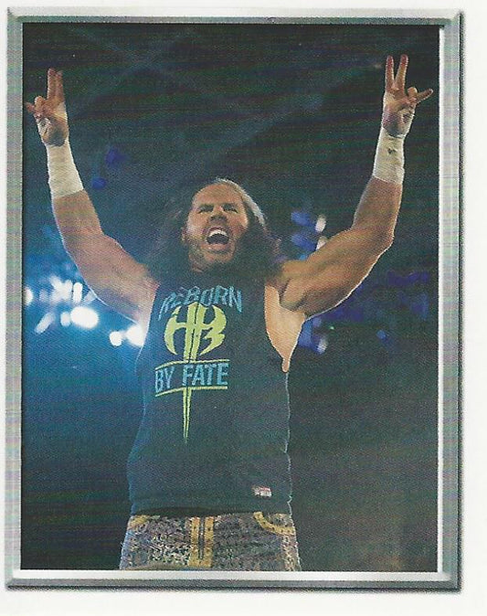WWE Topps 2018 Stickers Matt Hardy #43
