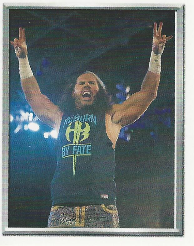 WWE Topps 2018 Stickers Matt Hardy #43