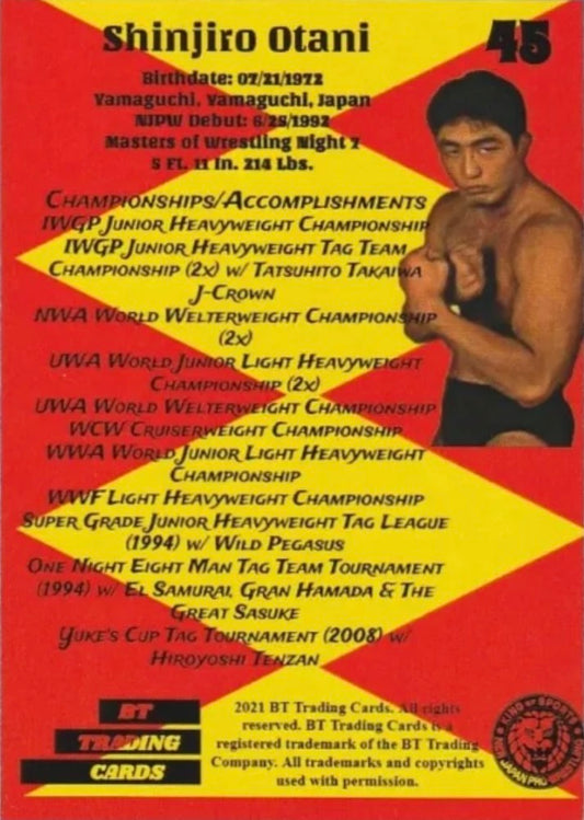 Shinjiro Otani - image 2