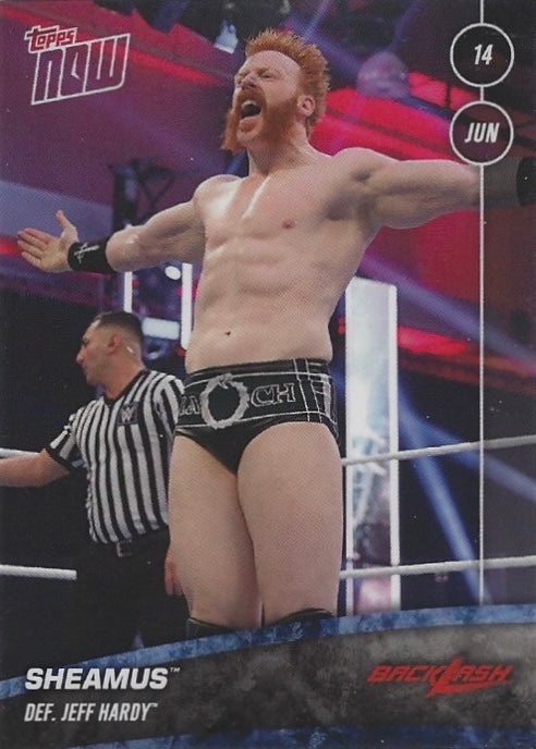 Sheamus DEF. Jeff Hardy