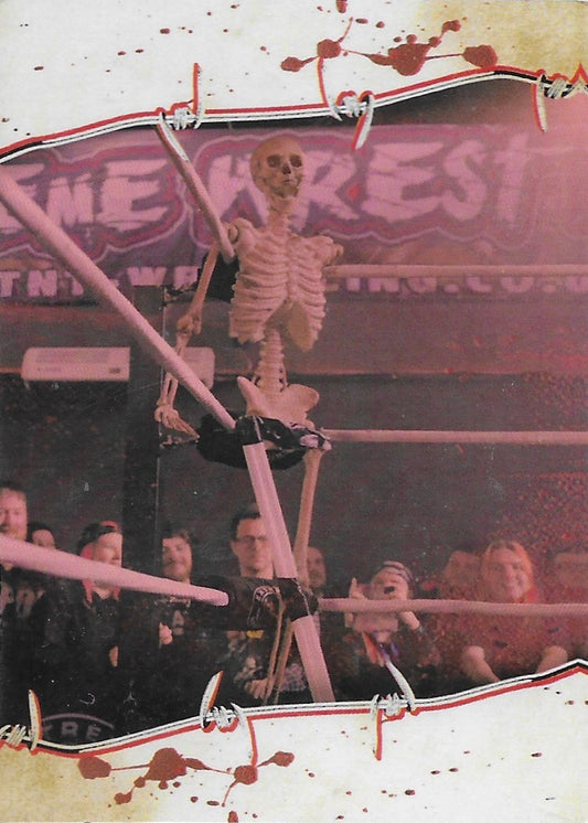 Skeleton trading card PW Catalog