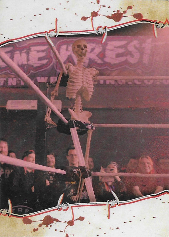 Skeleton
