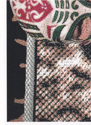 CAÍN Velásquez trading card PW Catalog