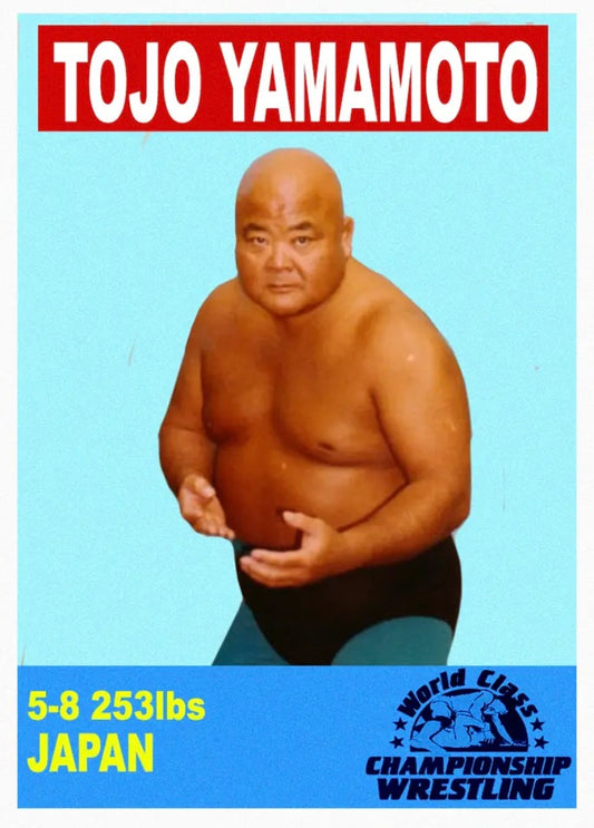 Tojo Yamamoto trading card PW Catalog
