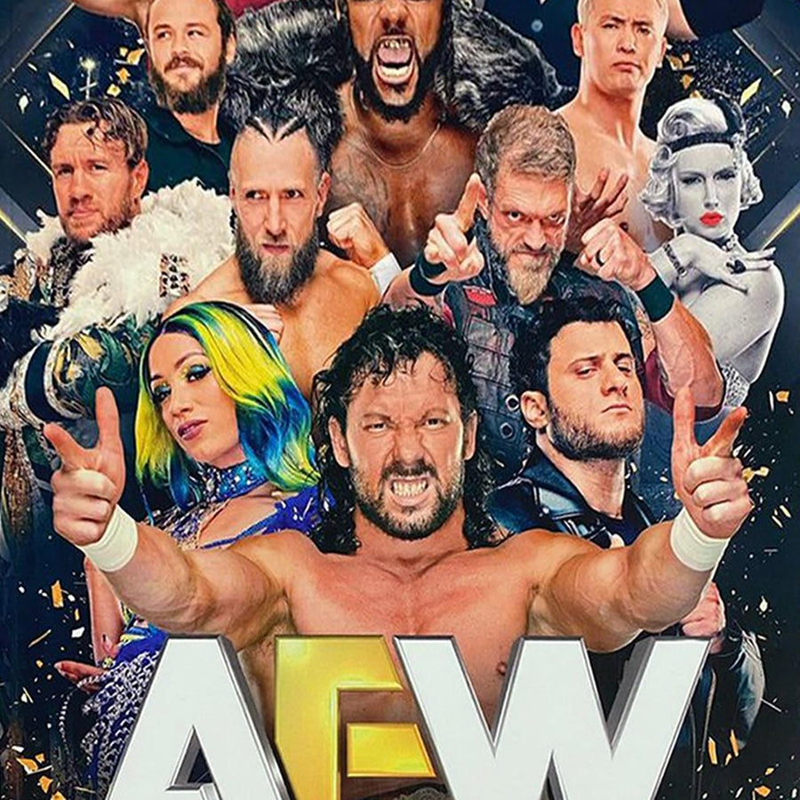 AEW All IN 2024 Program Magazine PWcatalog
