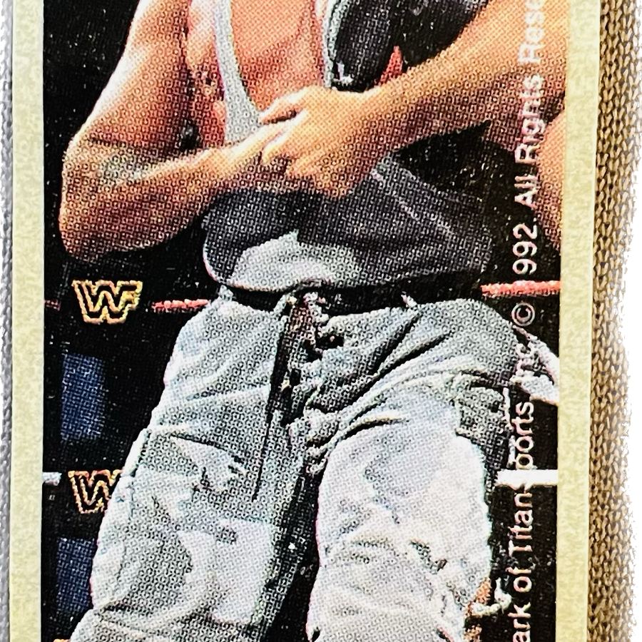 WWF Dunkin Bubble Gum Stickers (1992) No. 45 Bushwhackers PW Catalog