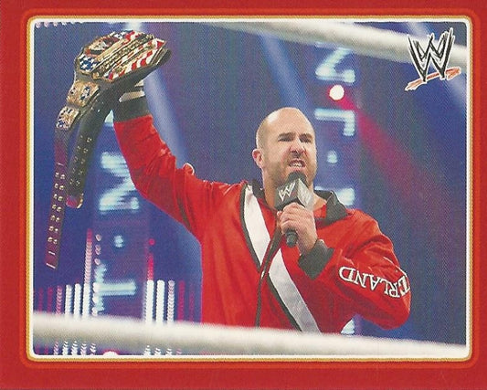 WWE Topps Icons 2013 Sticker Cesaro #45