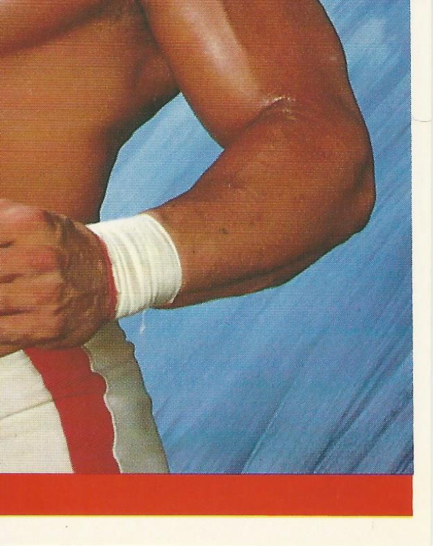 WWF Merlin Sticker Collection 1990 Texas Tornado #45