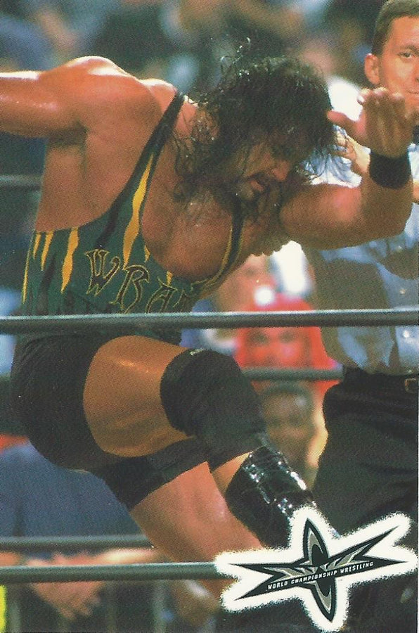 WCW Crazy Planet Stickers 1999 Wrath trading card PW Catalog