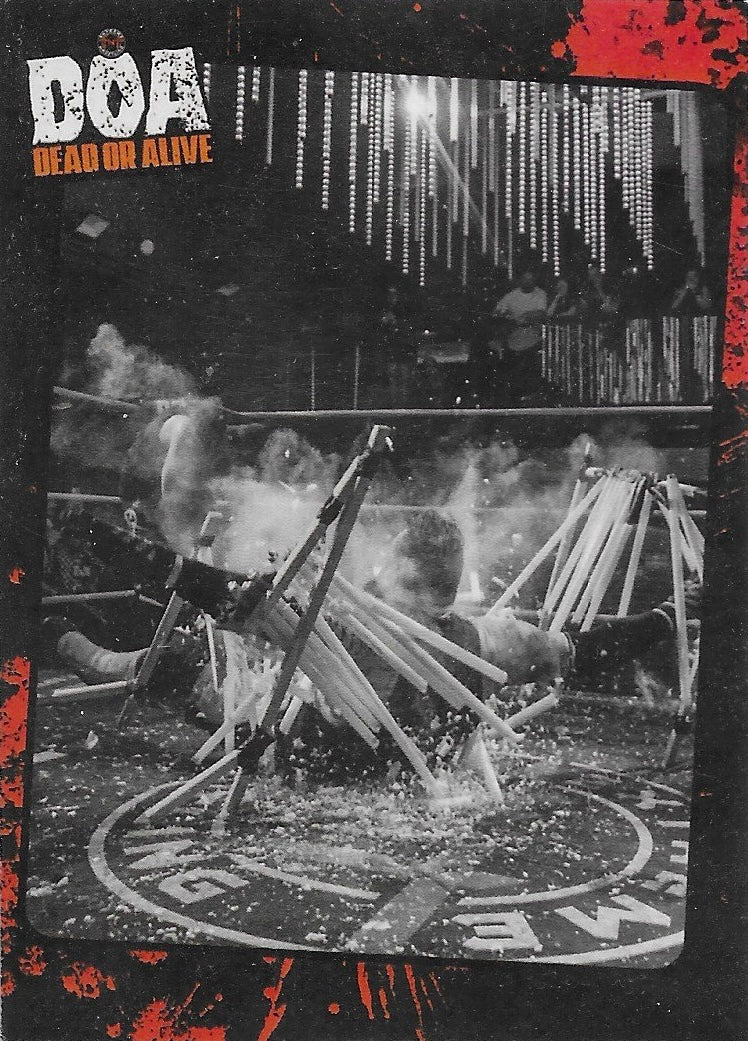 DOA Dead or Alive Ring Action trading card PW Catalog