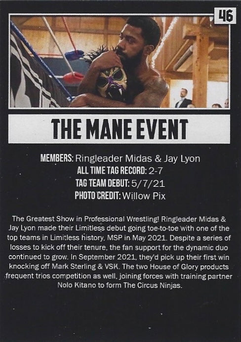 The Mane Event - image 2