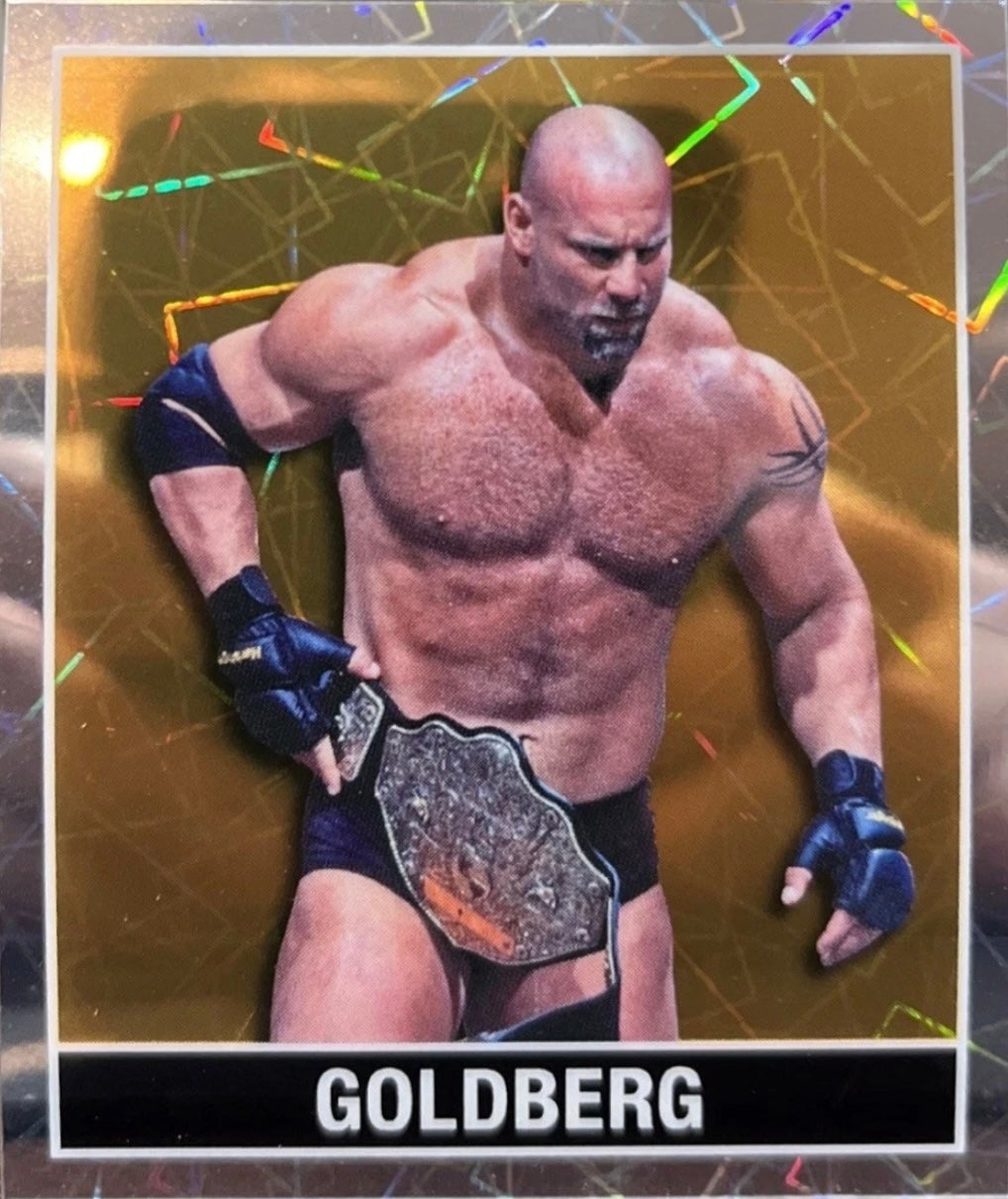 Goldberg trading card PW Catalog