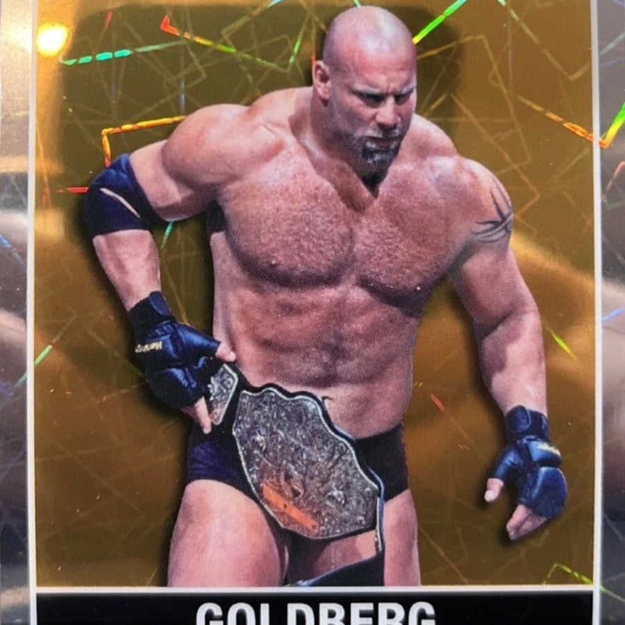 Goldberg trading card PW Catalog