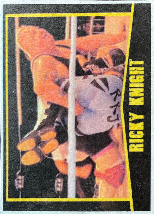 Ricky Knight Trading Card PWcatalog