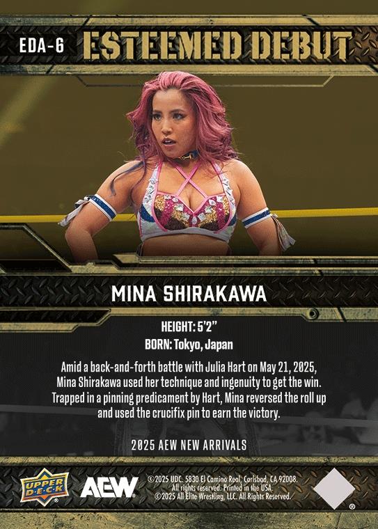 Mina Shirakawa