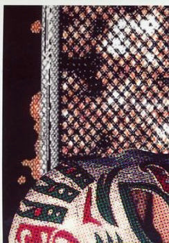 CAÍN Velásquez trading card PW Catalog