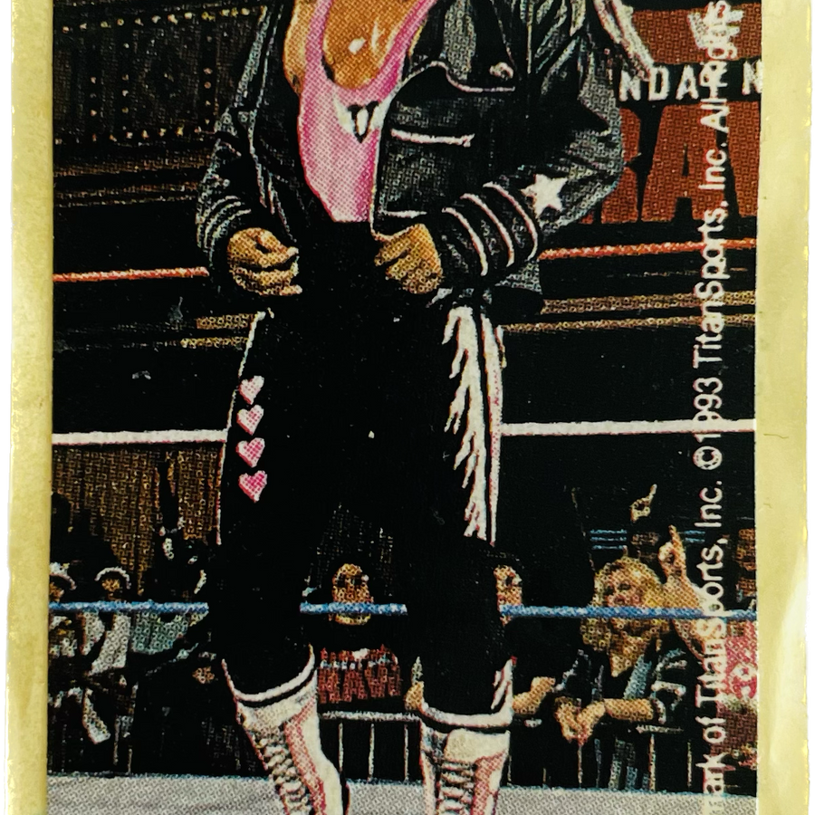 WWF Dunkin Bubble Gum Stickers (1993) No. 46 Bret Hart PW Catalog