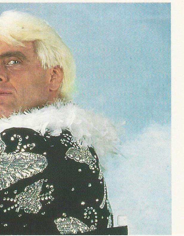 WWF Merlin Stickers 1992 Ric Flair #46