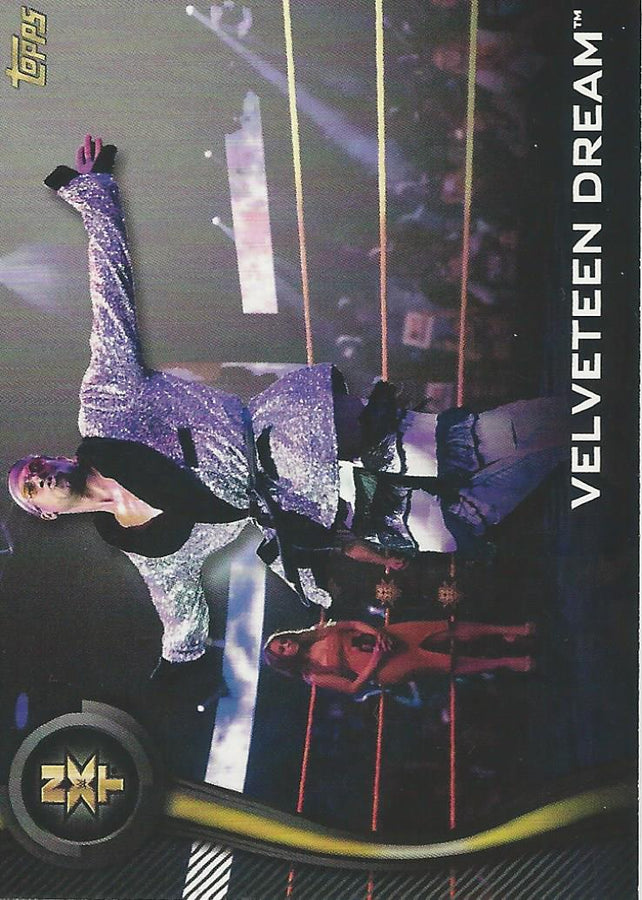 WWE Topps NXT 2019 Velveteen Dream #46