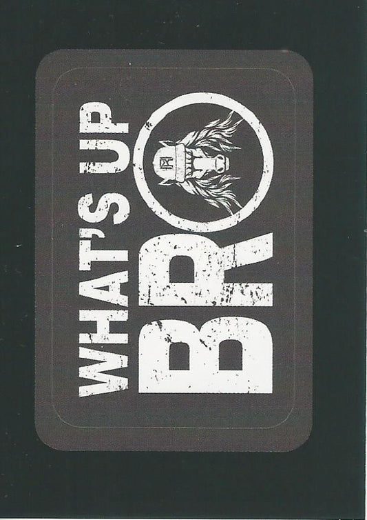 WWE Panini 2022 Sticker Collection Matt Riddle #46