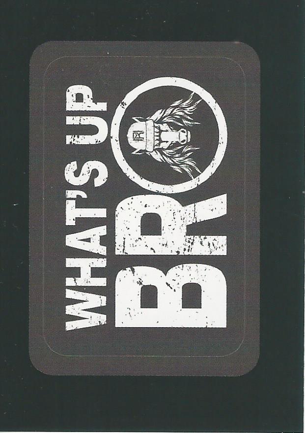 WWE Panini 2022 Sticker Collection Matt Riddle #46