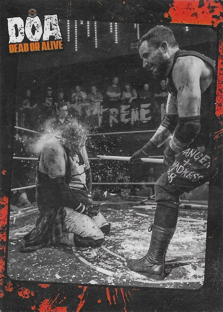 DOA Dead or Alive Ring Action
