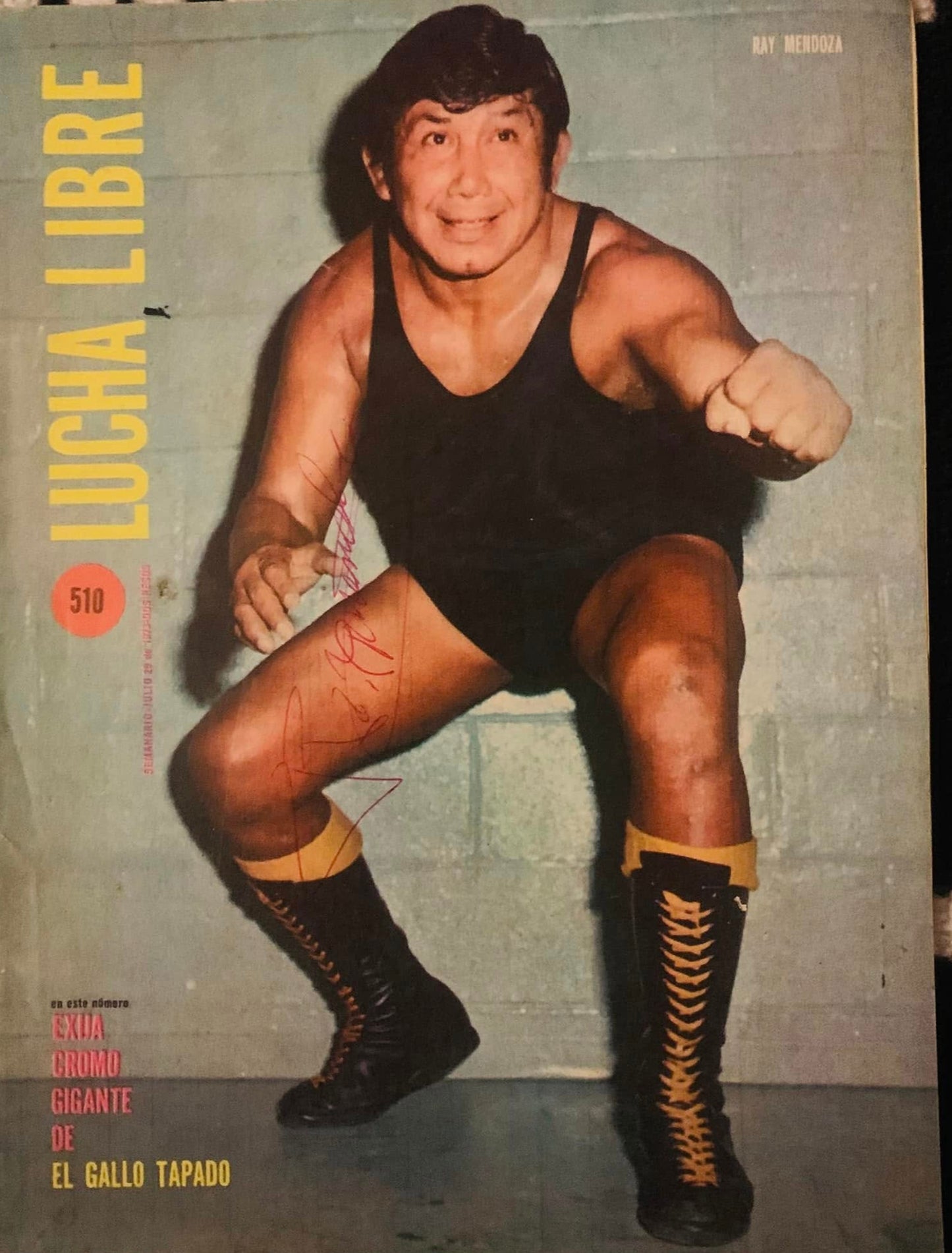 Lucha Libre Volume 510 Magazine PWcatalog