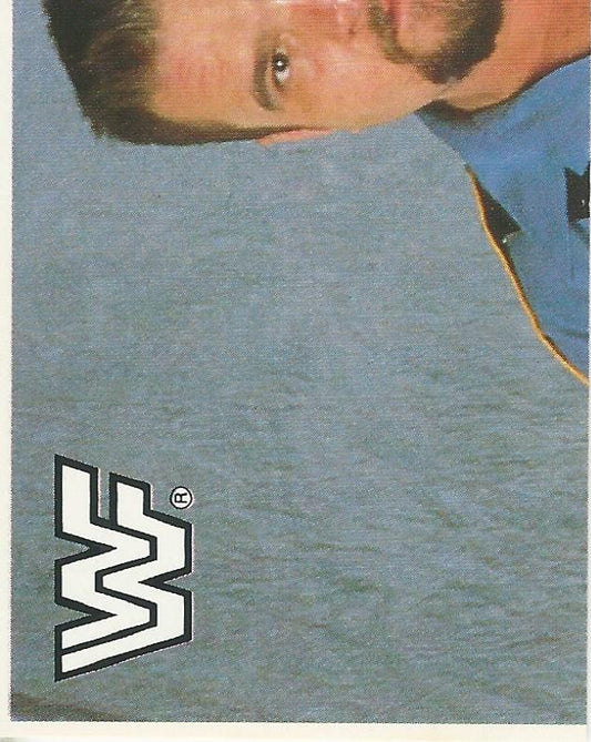 WWF Merlin Sticker Collection 1990 Big Boss Man #47