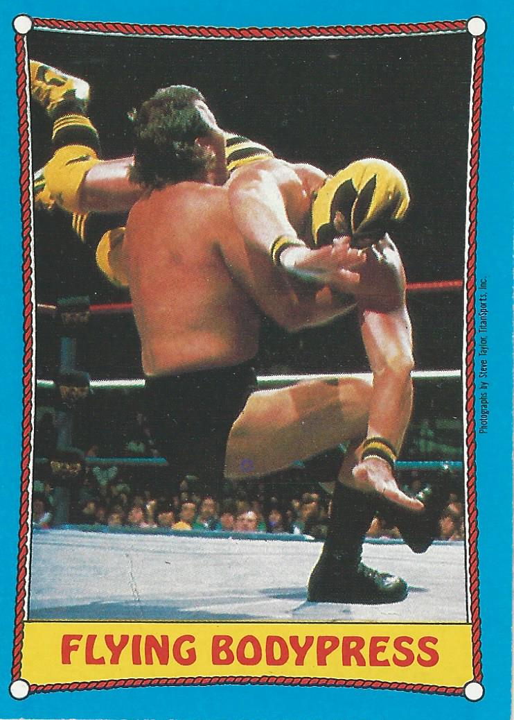 Topps WWF Wrestling Cards1987 Killer Bees #47