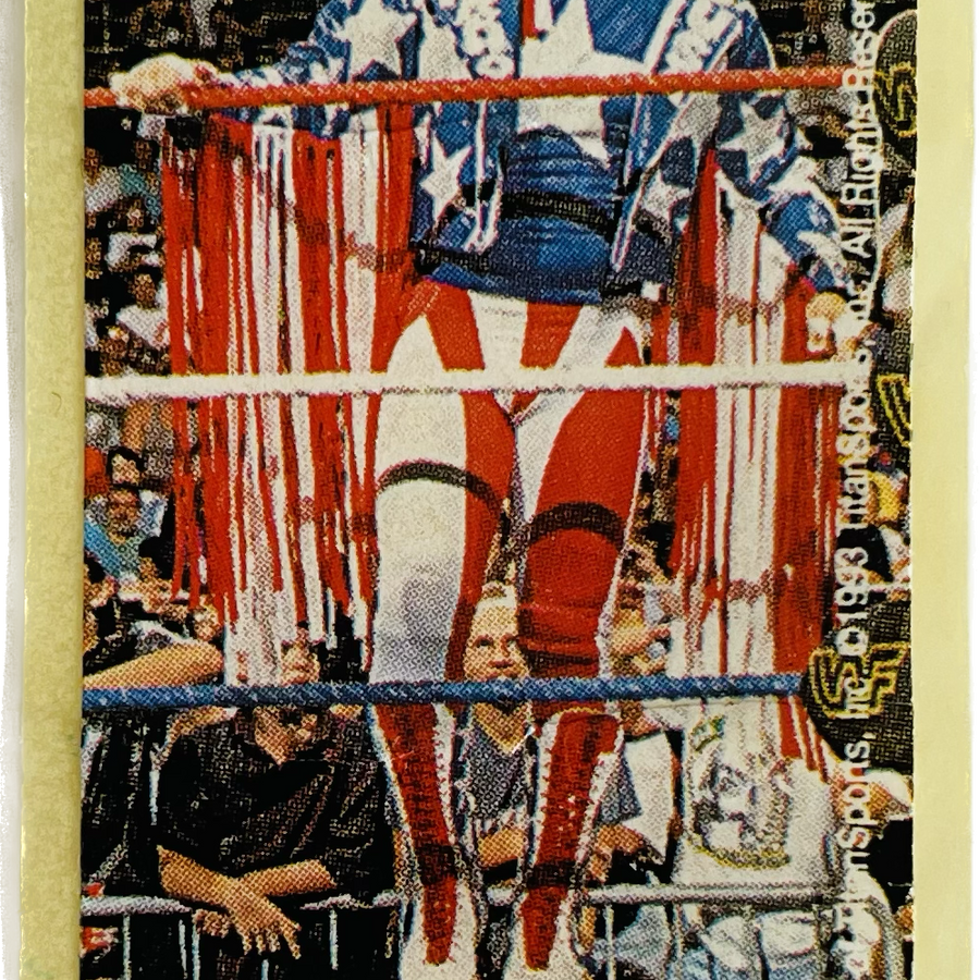 WWF Dunkin Bubble Gum Stickers (1993) No. 47 Macho Man Randy Savage PW Catalog