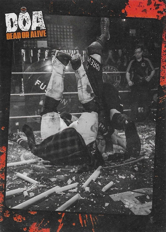 DOA Dead or Alive Ring Action trading card PW Catalog