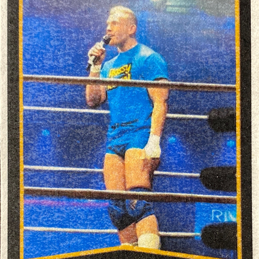 Rossy Rascal trading card PW Catalog