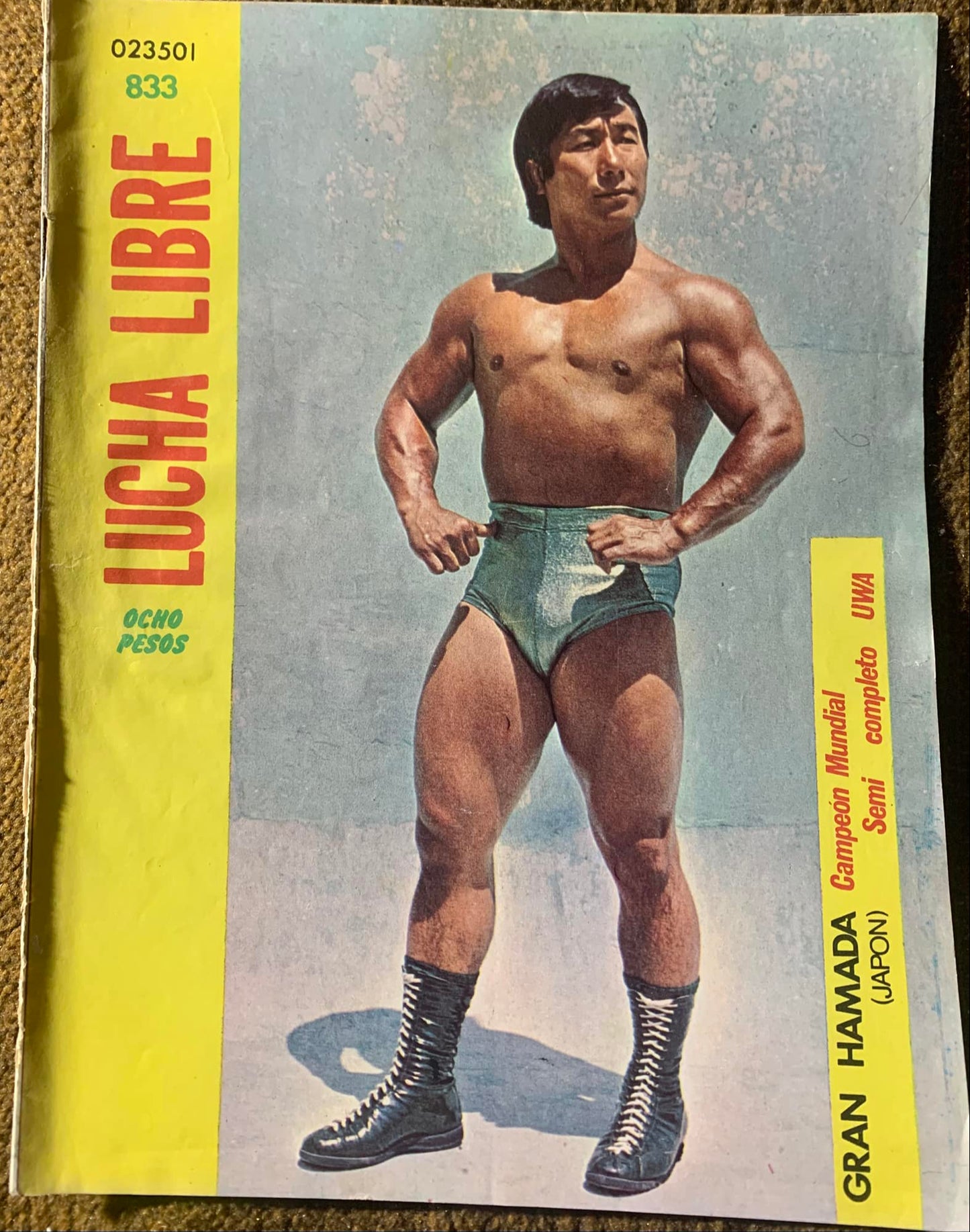 Lucha Libre Volume 833 Magazine PWcatalog