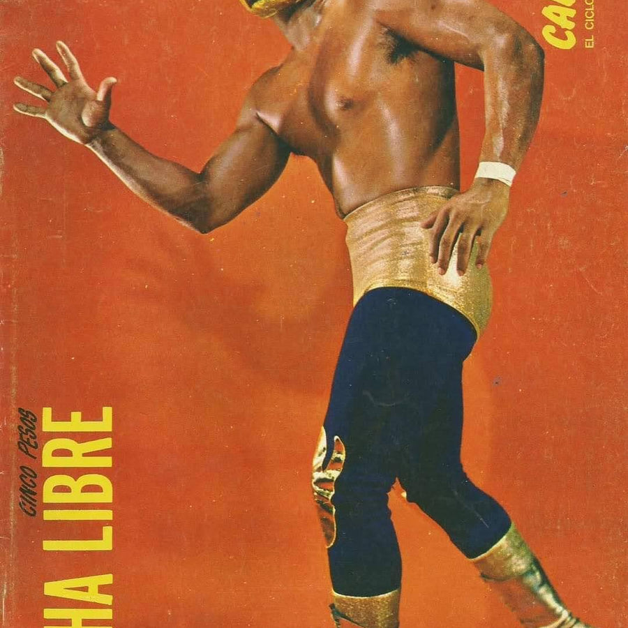 Lucha Libre Volume 736 Magazine PWcatalog