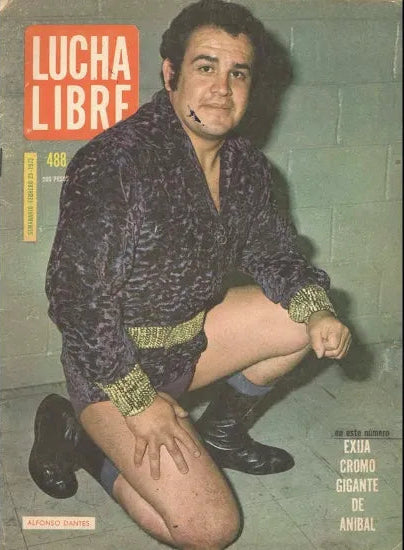 Lucha Libre Volume 488 Magazine PWcatalog
