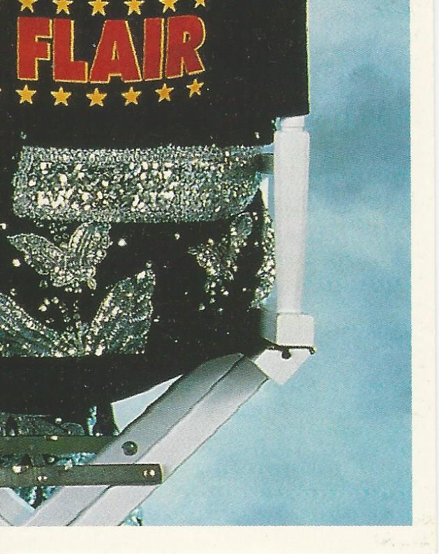 WWF Merlin Stickers 1992 Ric Flair #48