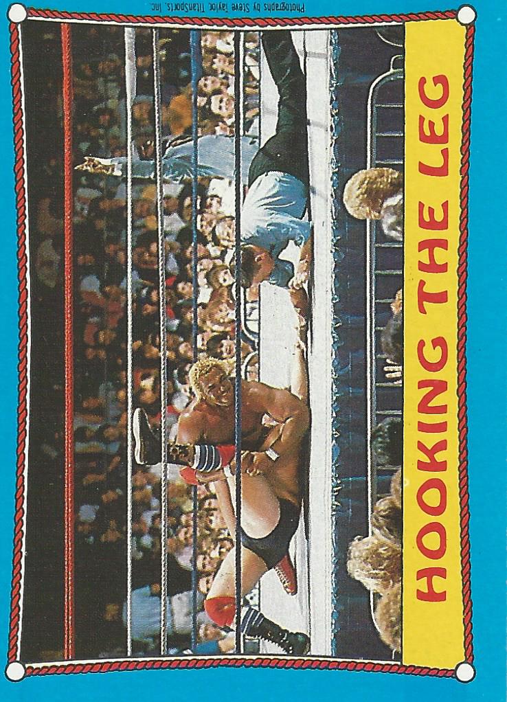 Topps WWF Wrestling Cards1987 Butch Reed #48