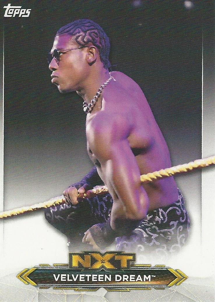 WWE Topps NXT 2020 Velveteen Dream #48