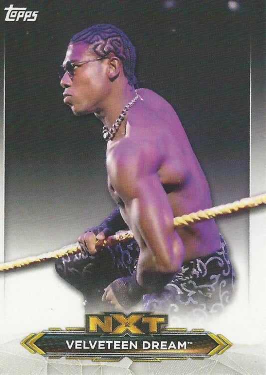 WWE Topps NXT 2020 Velveteen Dream #48