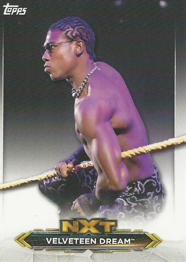 WWE Topps NXT 2020 Velveteen Dream #48
